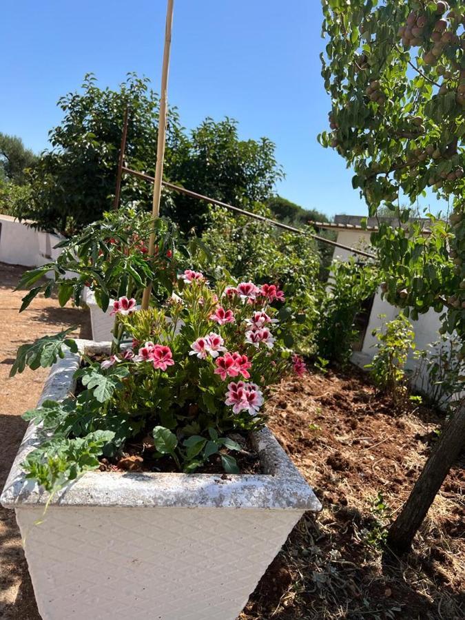 Trullo Antelmi Villa Ceglie Messapica Ngoại thất bức ảnh