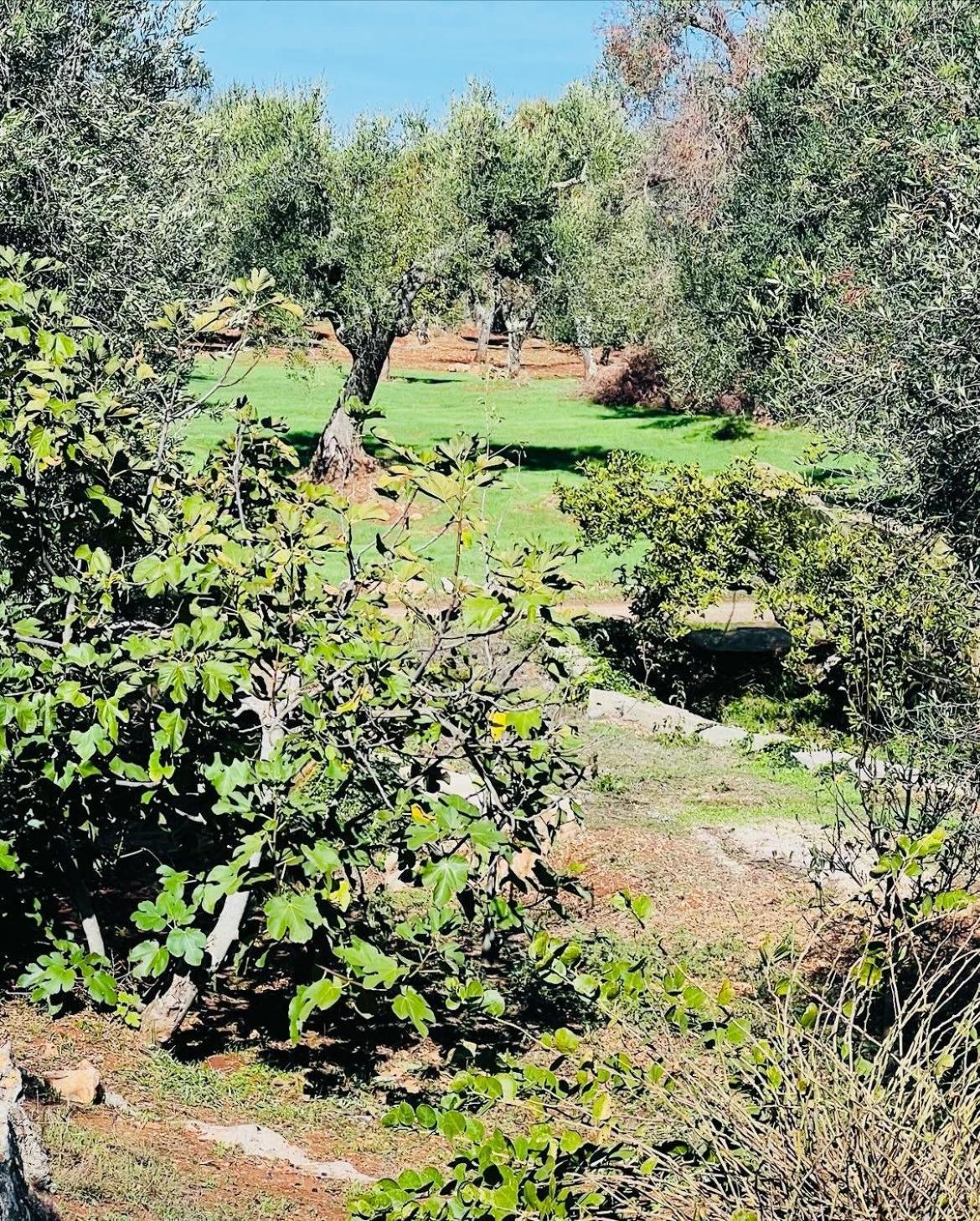 Trullo Antelmi Villa Ceglie Messapica Ngoại thất bức ảnh